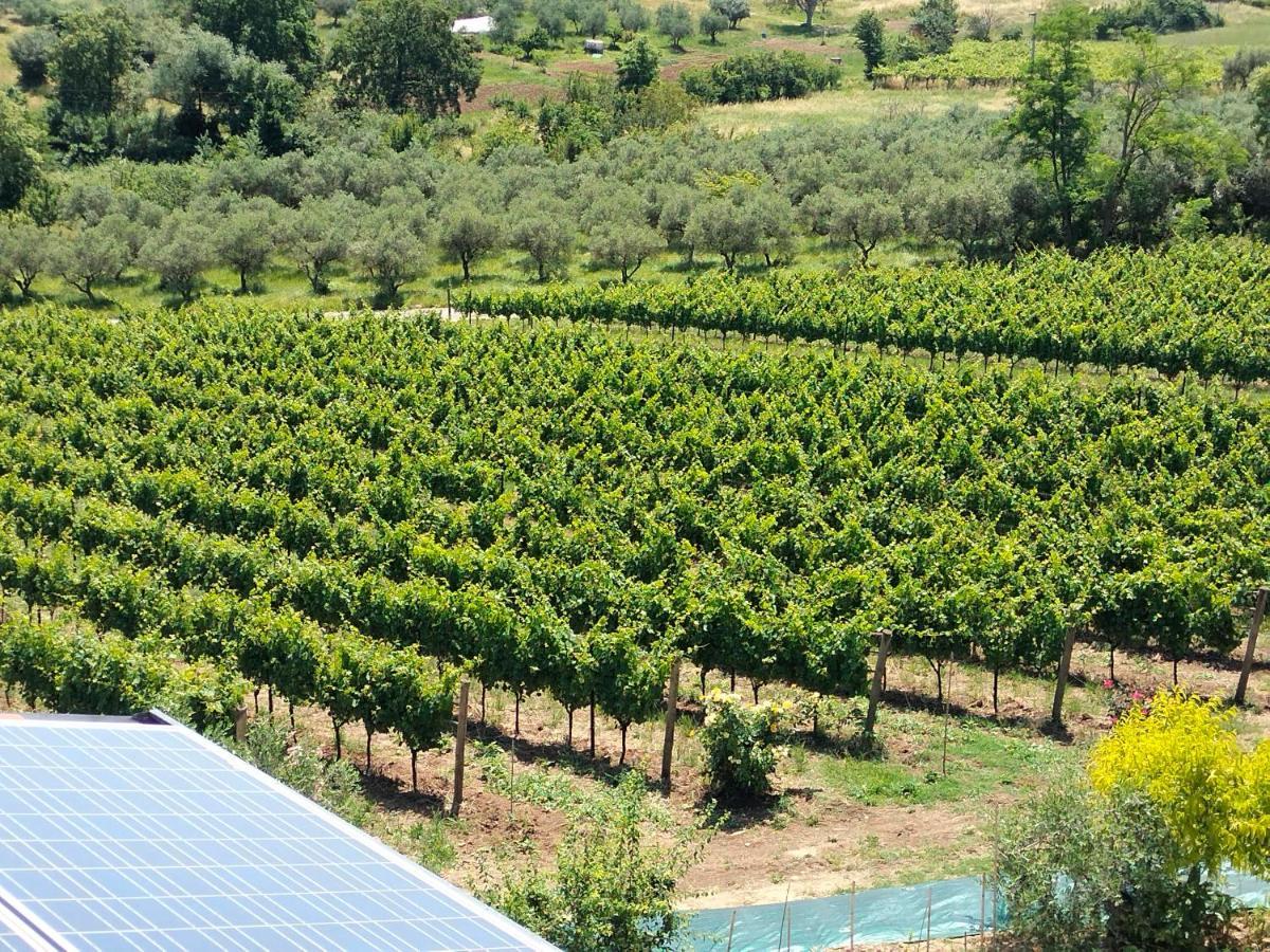 Angelucci Agriturismo Con Camere E Agri Camping ランチャーノ エクステリア 写真