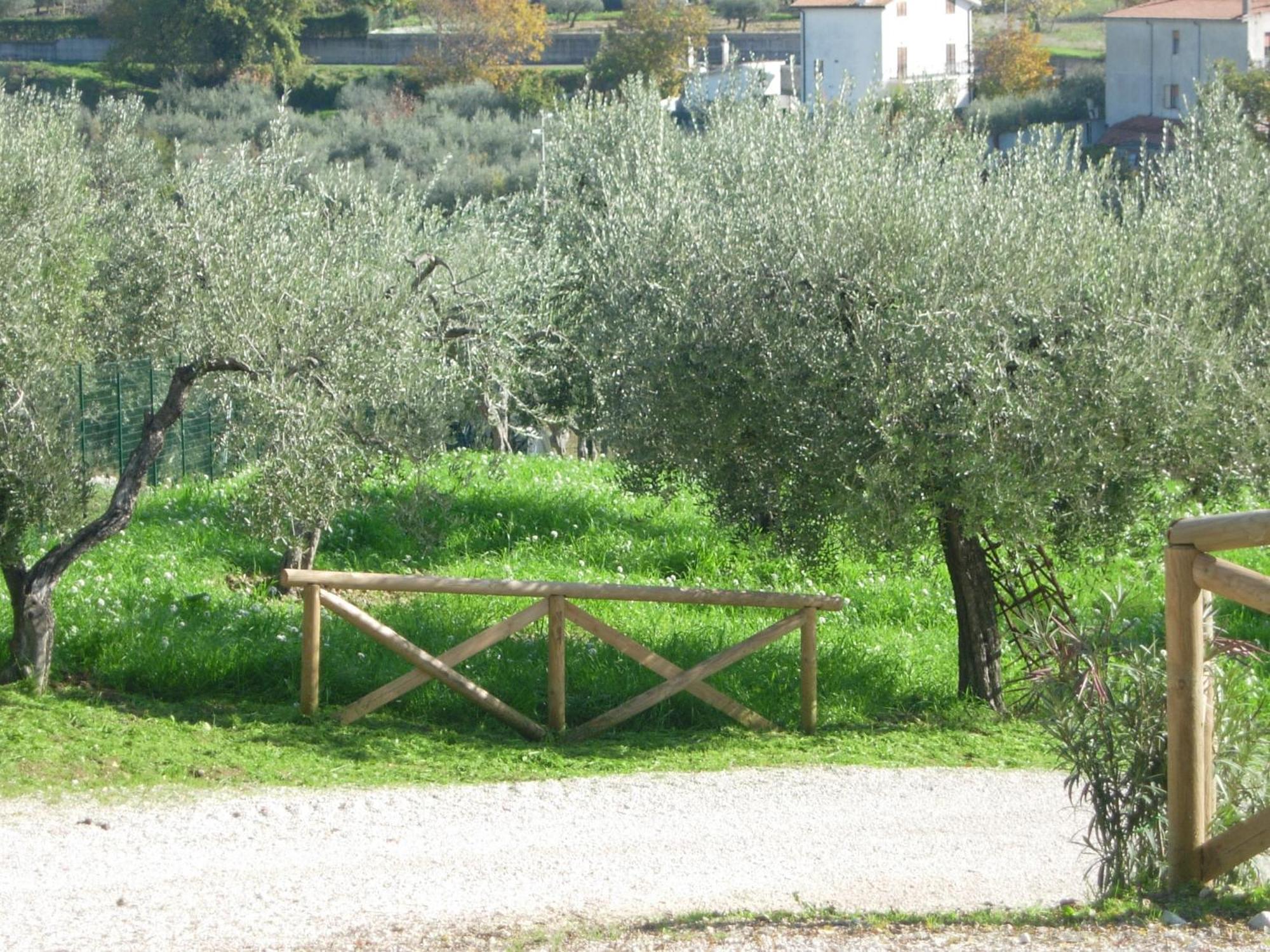 Angelucci Agriturismo Con Camere E Agri Camping ランチャーノ エクステリア 写真