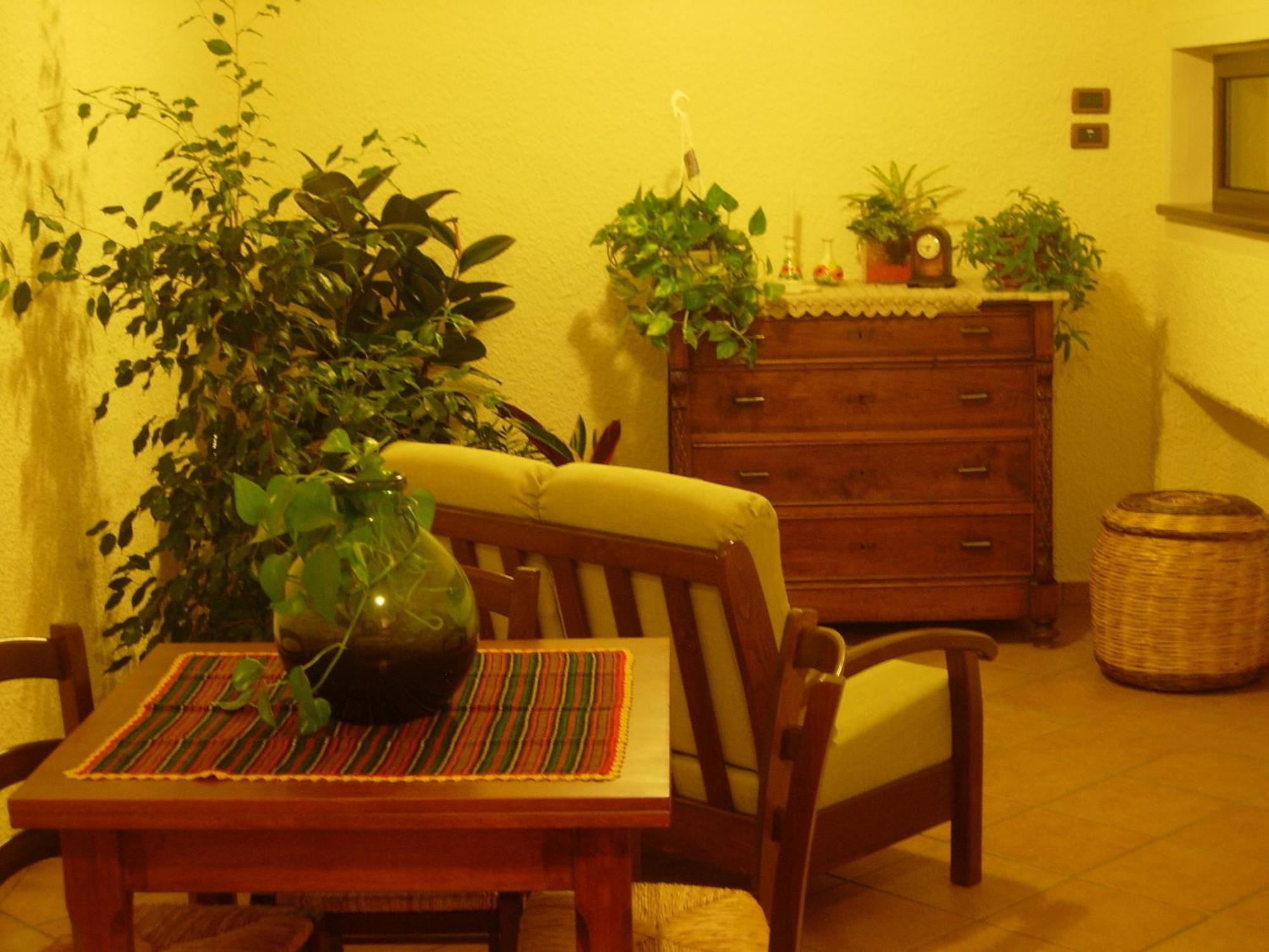 Angelucci Agriturismo Con Camere E Agri Camping ランチャーノ エクステリア 写真